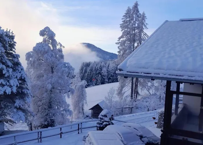 Appartement Pfeffermuehle - Kaernten Card Im Sommer Inklusive Bad Kleinkirchheim